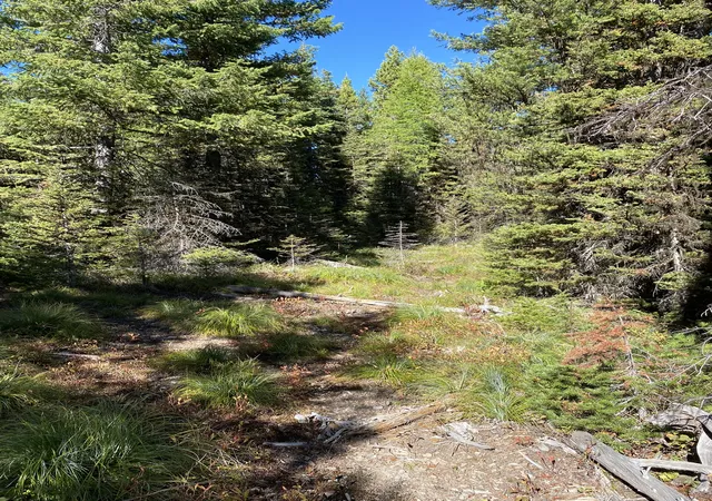 4th image of Nhn Mill Creek Rd, Frenchtown, MT 59834 | MLS# 30068876