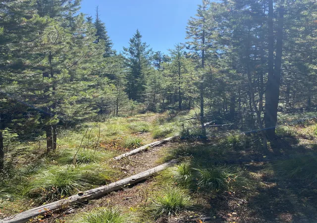 5th image of Nhn Mill Creek Rd, Frenchtown, MT 59834 | MLS# 30068876