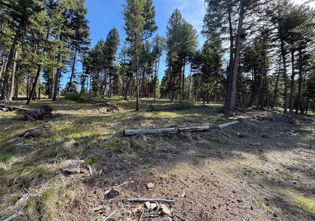 1st image of 349 Seclusion Pt, Seeley Lake, MT 59868 | MLS# 30068928