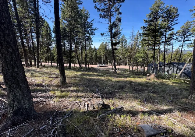 4th image of 349 Seclusion Pt, Seeley Lake, MT 59868 | MLS# 30068928