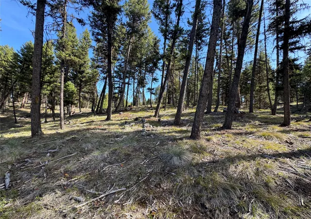 5th image of 349 Seclusion Pt, Seeley Lake, MT 59868 | MLS# 30068928