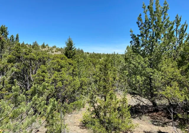 Photo 3 of Land for sale at 17 Keating Gulch Rd, Townsend, MT 59644 | MLS# 30068959 | Listing updated on 2026-08-03