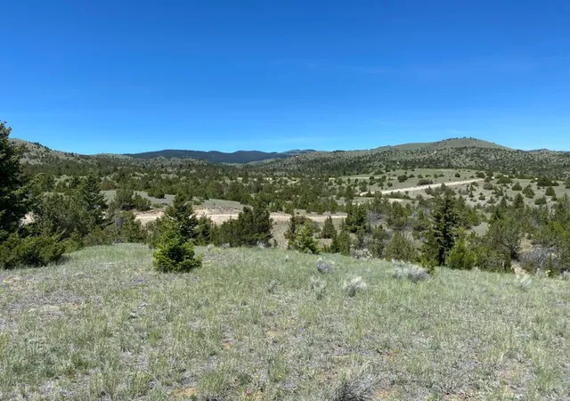 Photo 4 of Land for sale at 17 Keating Gulch Rd, Townsend, MT 59644 | MLS# 30068959 | Listing updated on 2026-08-03