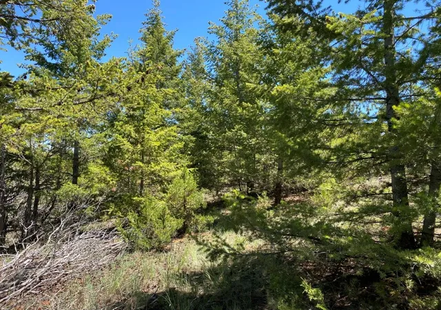 Photo 5 of Land for sale at 17 Keating Gulch Rd, Townsend, MT 59644 | MLS# 30068959 | Listing updated on 2026-08-03