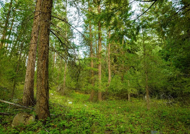 Photo 2 of Land for sale at Nhn Black Lake Rd, Rexford, MT 59930 | MLS# 30068858 | Listing updated on 2026-08-27