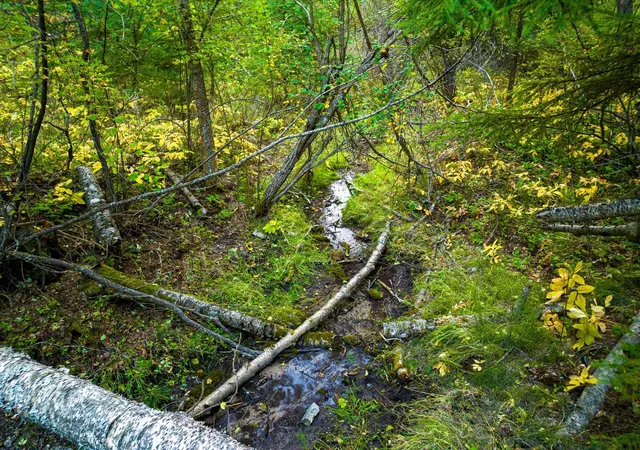 Photo 3 of Land for sale at Nhn Black Lake Rd, Rexford, MT 59930 | MLS# 30068858 | Listing updated on 2026-08-27