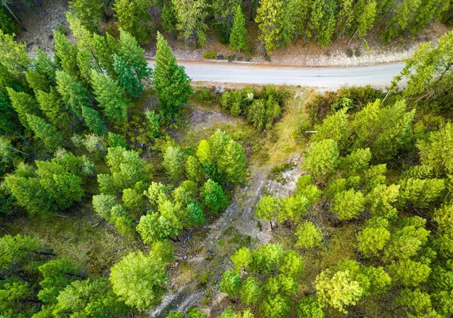 Photo 3 of Land for sale at Nhn Black Lake Rd, Rexford, MT 59930 | MLS# 30068858 | Listing updated on 2026-08-27