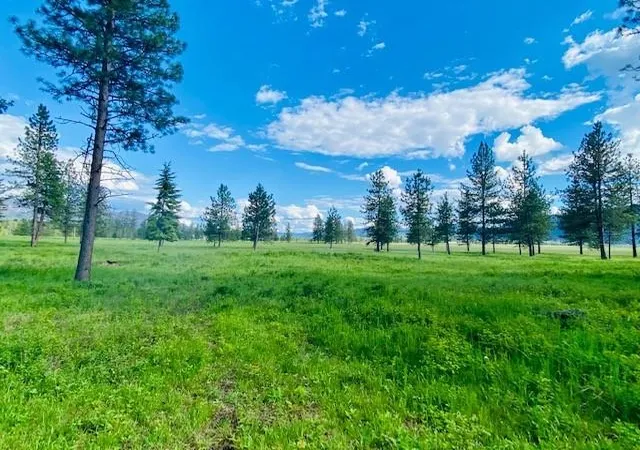 Homes for sale in Trout Creek, MT | 21 Cabinet View, Trout Creek, MT 59874 | MLS# 30069043