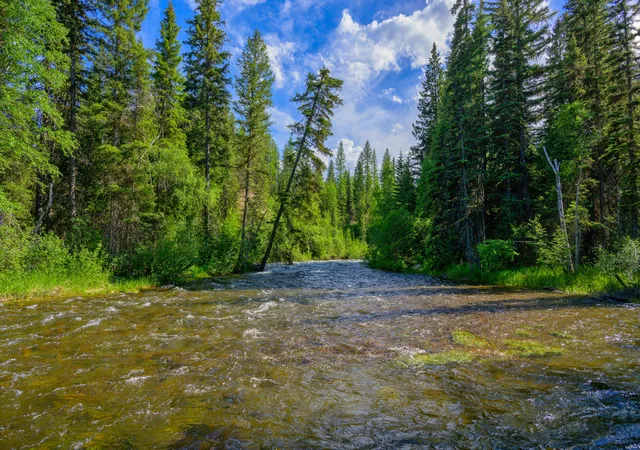 2nd image of 1355 Lindbergh Lake Rd, Condon, MT 59826 | MLS# 30065779