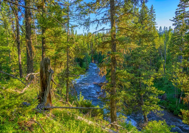 4th image of 1355 Lindbergh Lake Rd, Condon, MT 59826 | MLS# 30065779