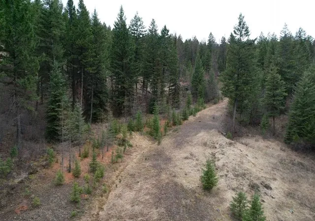 Homes for sale in Kila, MT | Tbd Bent Pine Ln, Kila, MT 59920 | MLS# 30069090