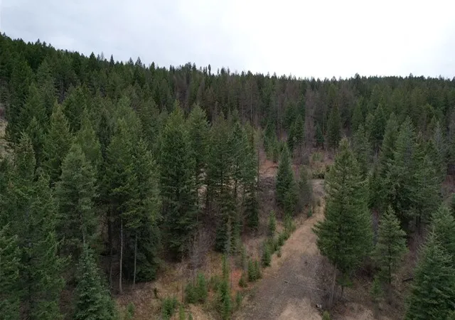 Homes for sale in Kila, MT | Tbd Bent Pine Ln, Kila, MT 59920 | MLS# 30069090