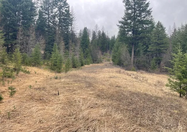 Homes for sale in Kila, MT | Tbd Bent Pine Ln, Kila, MT 59920 | MLS# 30069090