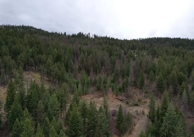 Homes for sale in Kila, MT | Tbd Bent Pine Ln, Kila, MT 59920 | MLS# 30069090