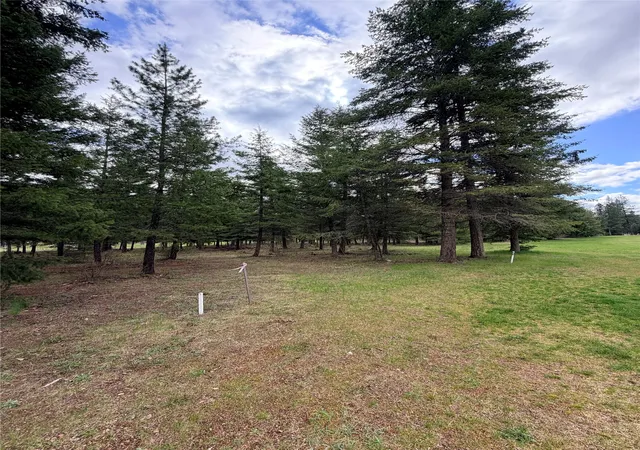 Photo 1 of Land for sale at Lot 3 Fairview Dr, St Regis, MT 59866 | MLS# 30068641 | Listing updated on 2026-08-02