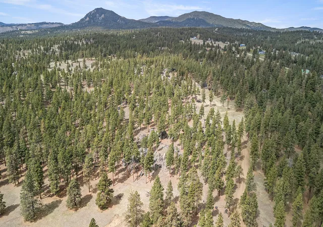 Homes for sale in Clancy, MT | 15 Old Abe Rd, Clancy, MT 59634 | MLS# 30068153