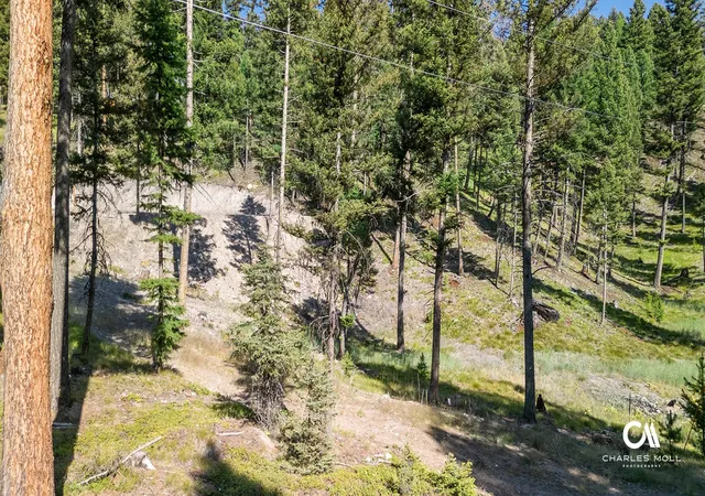 1st image of 170 Leota Peak Ct, Seeley Lake, MT 59868 | MLS# 30068943