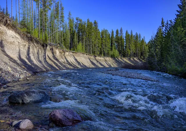 1st image of Nhn Stoner Lake Rd, Condon, MT 59826 | MLS# 30065775