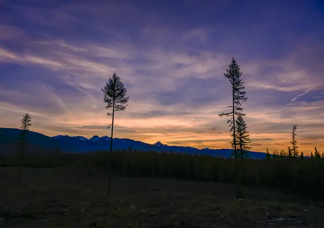 41st image of Nhn Stoner Lake Rd, Condon, MT 59826 | MLS# 30065775
