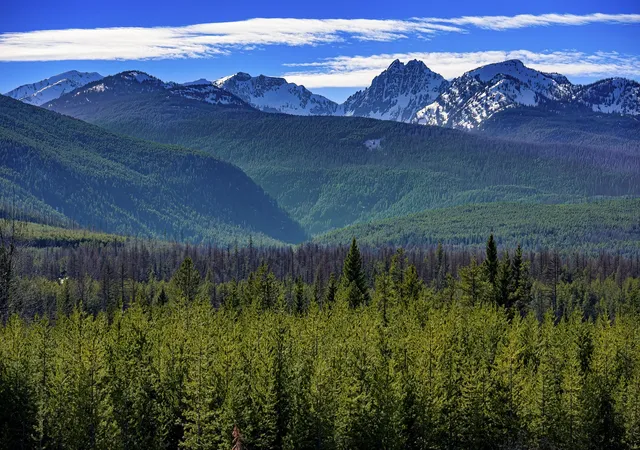 4th image of Nhn Stoner Lake Rd, Condon, MT 59826 | MLS# 30065775