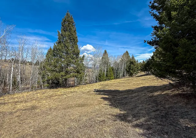 2nd image of Tbd Lone Pine Gulch Road, Ramsay, MT 59748 | MLS# 30069160