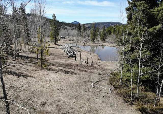 Homes for sale in White Sulphur Springs, MT | 95 Little Moose Creek Trl, White Sulphur Springs, MT 59645 | MLS# 30069212