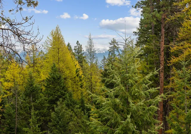 44th image of 465 Deer Creek Rd, Lakeside, MT 59922 | MLS# 30069236