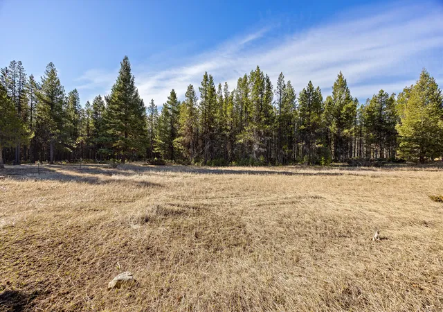 Homes for sale in Marion, MT | 2175 Pleasant Valley Rd, Marion, MT 59925 | MLS# 30069218
