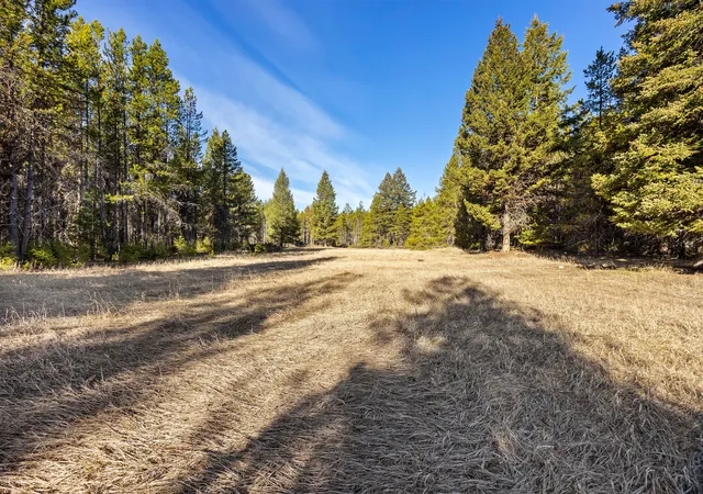 Homes for sale in Marion, MT | 2175 Pleasant Valley Rd, Marion, MT 59925 | MLS# 30069218