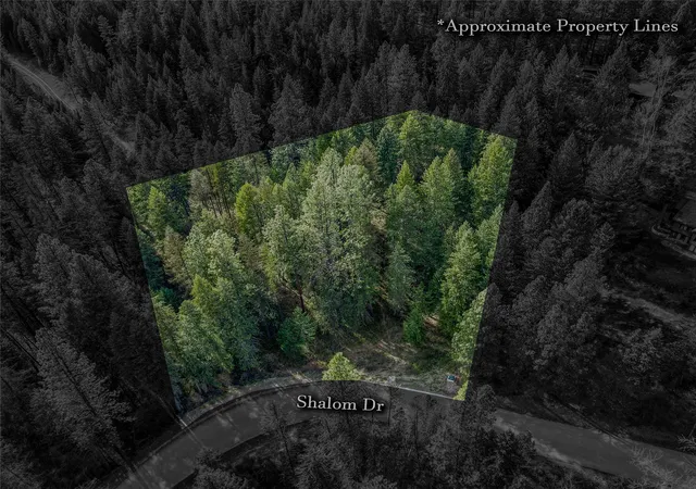 Homes for sale in Libby, MT | Nhn Shalom, Libby, MT 59923 | MLS# 30069223