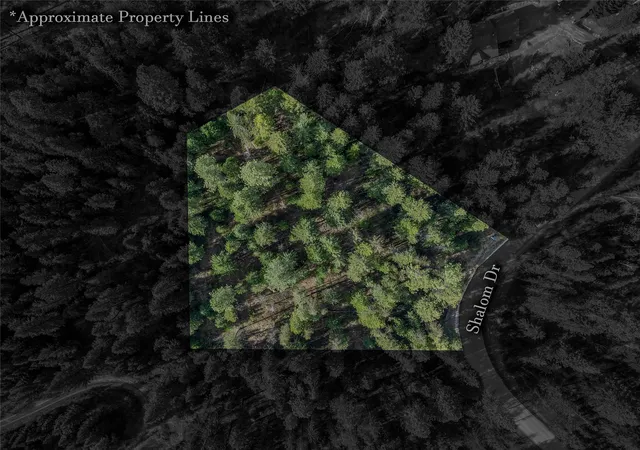 Homes for sale in Libby, MT | Nhn Shalom, Libby, MT 59923 | MLS# 30069223