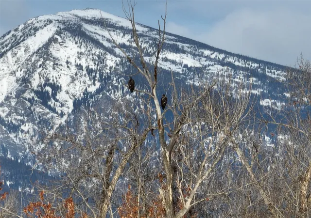 5th image of 723 N Burnt Fork Rd, Stevensville, MT 59870 | MLS# 30069244
