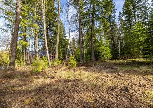 2nd image of 420 Old Hwy 2 E, Martin City, MT 59926 | MLS# 30069219