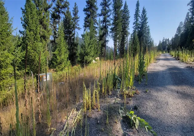 Photo 3 of Land for sale at Lot 9 Angus Dr, Rexford, MT 59930 | MLS# 30068579 | Listing updated on 2026-08-01