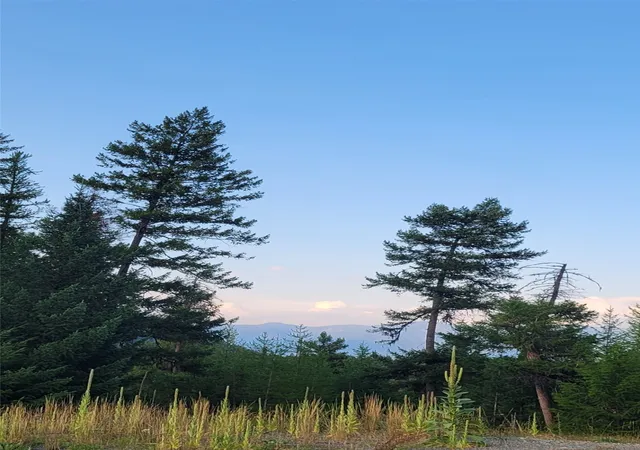 Photo 3 of Land for sale at Lot 9 Angus Dr, Rexford, MT 59930 | MLS# 30068579 | Listing updated on 2026-08-01