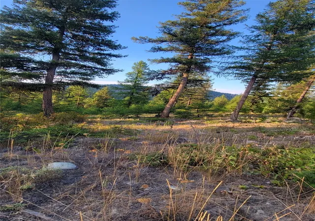 Photo 4 of Land for sale at Lot 9 Angus Dr, Rexford, MT 59930 | MLS# 30068579 | Listing updated on 2026-08-01