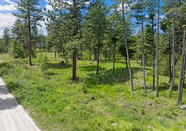 5th image of 460 Buffalo Ln, Somers, MT 59932 | MLS# 30069306