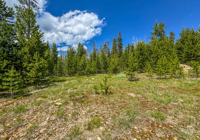 Homes for sale in Elliston, MT | 357 Ontario Dr, Elliston, MT 59728 | MLS# 30069519