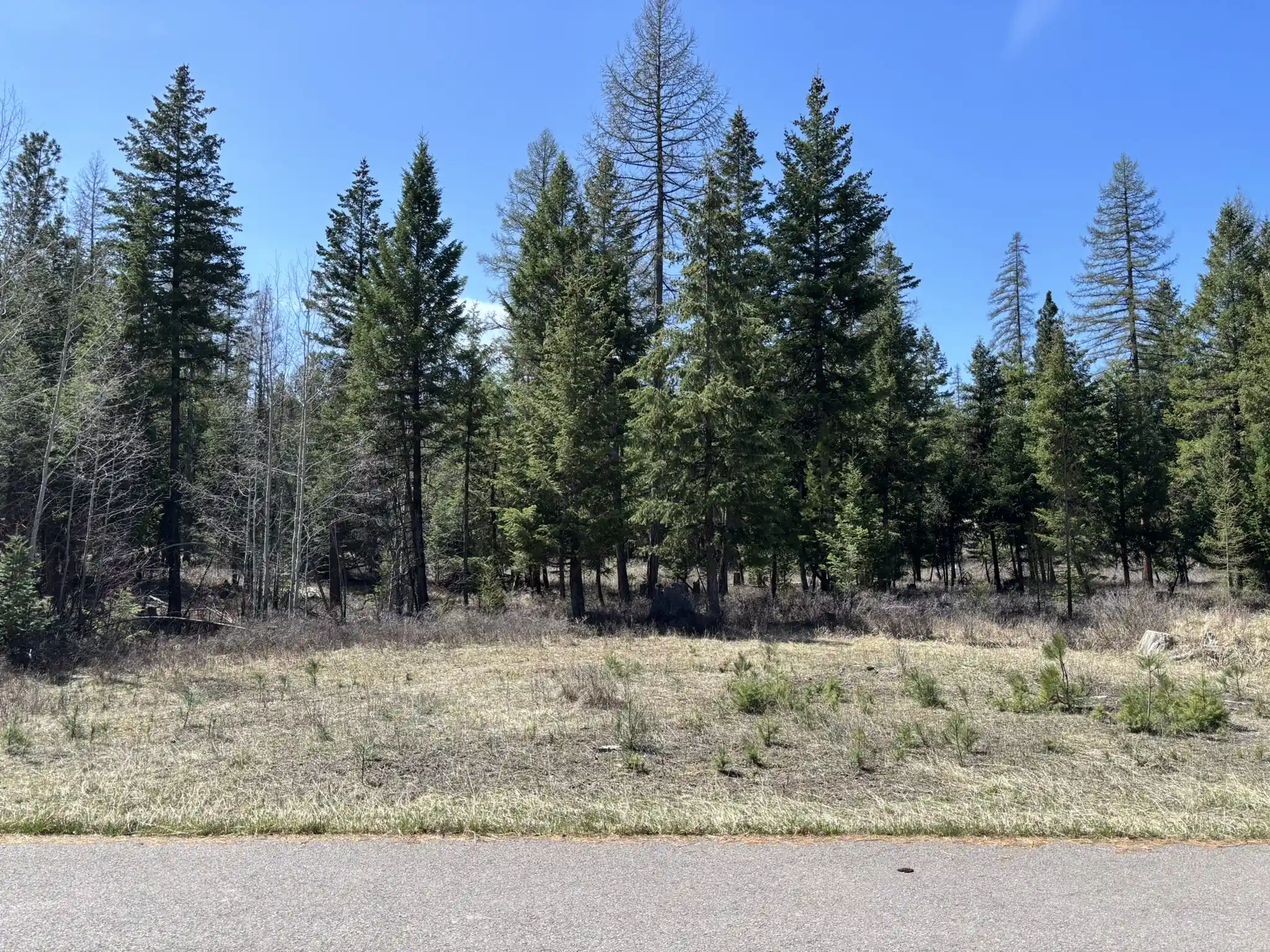 Photo 1 of Land for sale at 238 Haskill Ranch Rd #1, Kila, MT 59920 | MLS# 30069571 | Listing updated on 2026-10-11