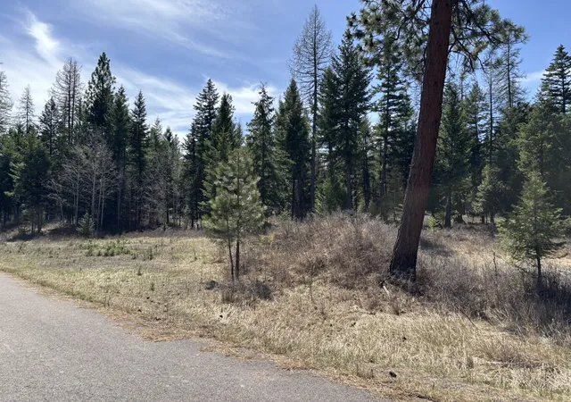 Photo 2 of Land for sale at 238 Haskill Ranch Rd #1, Kila, MT 59920 | MLS# 30069571 | Listing updated on 2026-08-01