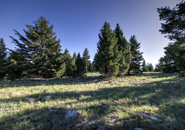 Homes for sale in Deer Lodge, MT | Nhn Lot 1 Phase 3A Dolus Lakes Rd #Lot 1, Deer Lodge, MT 59722 | MLS# 30069266