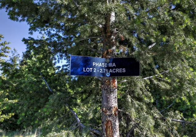 Homes for sale in Deer Lodge, MT | Phase 3A Dolus Lakes Rd #Lot 2, Deer Lodge, MT 59722 | MLS# 30069492