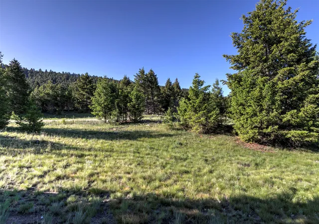 Homes for sale in Deer Lodge, MT | Phase 3A Dolus Lakes Rd #Lot 2, Deer Lodge, MT 59722 | MLS# 30069492