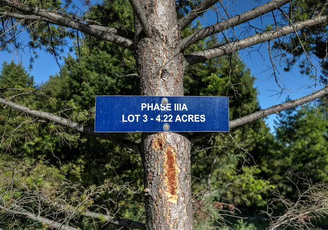 Homes for sale in Deer Lodge, MT | Phase 3A Dolus Lakes Rd #Lot 3, Deer Lodge, MT 59722 | MLS# 30069494