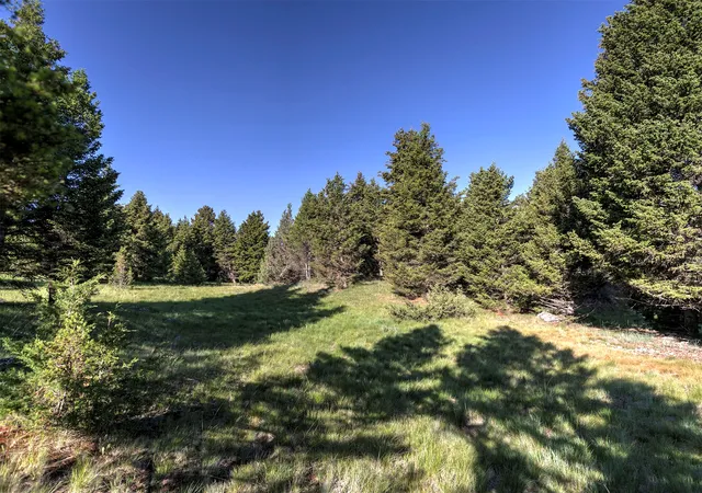 Homes for sale in Deer Lodge, MT | Phase 3A Dolus Lakes Rd #Lot 3, Deer Lodge, MT 59722 | MLS# 30069494