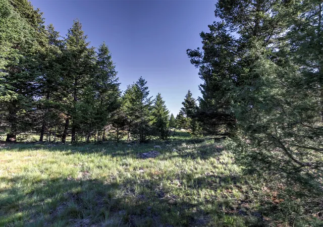 Homes for sale in Deer Lodge, MT | Phase 3A Dolus Lakes Rd #Lot 3, Deer Lodge, MT 59722 | MLS# 30069494