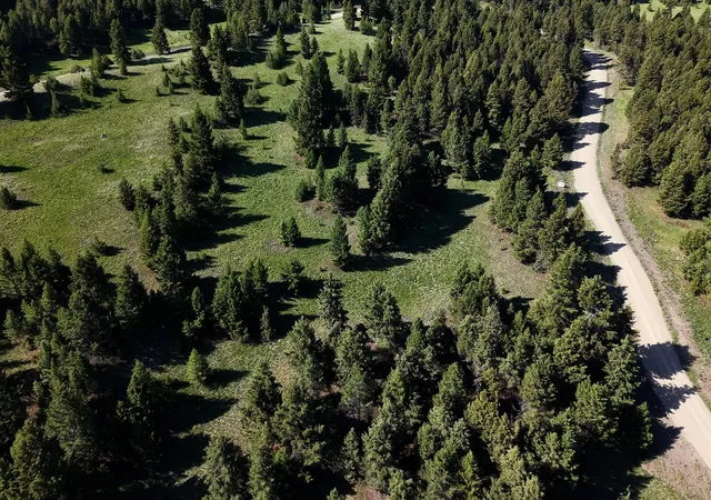 Homes for sale in Deer Lodge, MT | Phase 3a Dolus Lake Rd #Lot 6, Deer Lodge, MT 59722 | MLS# 30069497