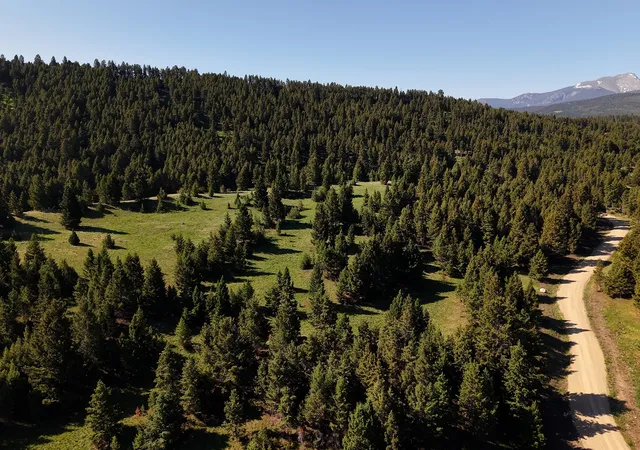 Homes for sale in Deer Lodge, MT | Phase 3a Dolus Lake Rd #Lot 6, Deer Lodge, MT 59722 | MLS# 30069497