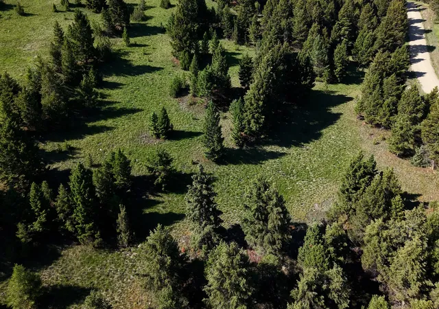 Homes for sale in Deer Lodge, MT | Phase 3A Dolus Lake Rd #Lot 6, Deer Lodge, MT 59722 | MLS# 30069497