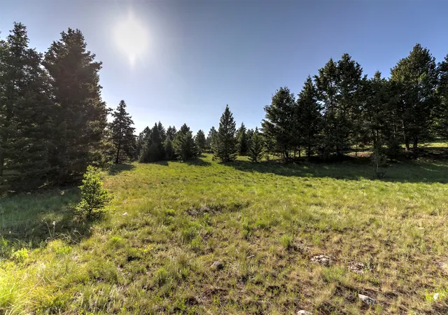 Homes for sale in Deer Lodge, MT | Phase 3A Dolus Lake Rd #Lot 6, Deer Lodge, MT 59722 | MLS# 30069497